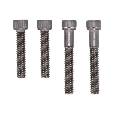 Bultsats Screws4Bikes Dyna Dyna (excl. 99-05 FXDL m.fl.