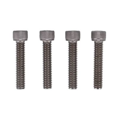 Bultsats Screws4Bikes polerad rostfri LK.HD.5.va