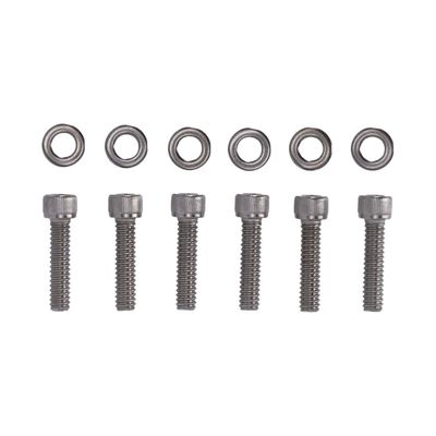 Bultsats Screws4Bikes Softail 07-25 polerad