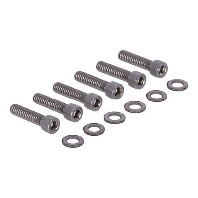 Bultsats Screws4Bikes Softail 07-25 polerad