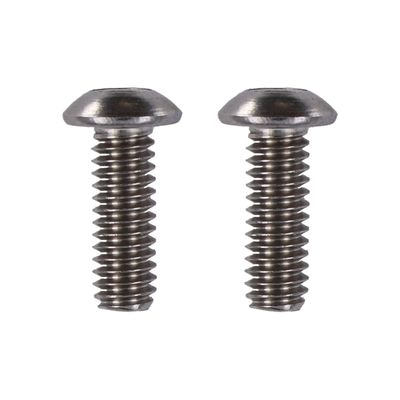 Bultsats Screws4Bikes polerad Big Twin 70-99