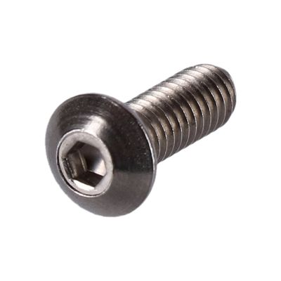 Bultsats Screws4Bikes polerad Big Twin 70-99