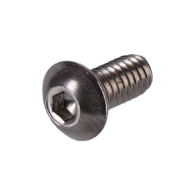 Bultsats Screws4Bikes polerad Twin Cam 99-17