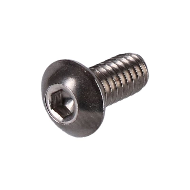 Bultsats Screws4Bikes polerad Twin Cam 99-17