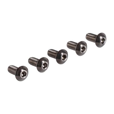 Bultsats Screws4Bikes polerad Twin Cam 99-17
