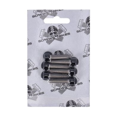 Bultsats Screws4Bikes Softail 07-25 blanksvart