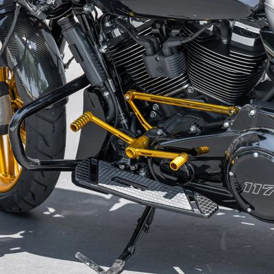 Fotreglage Arlen Ness Speedliner guld