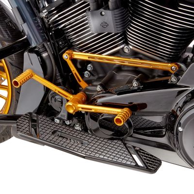 Fotreglage Arlen Ness Speedliner guld