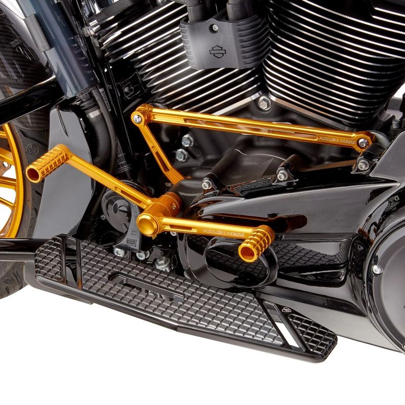 Fotreglage Arlen Ness Speedliner guld