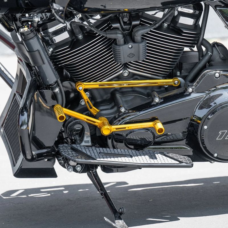 Fotreglage Arlen Ness Speedliner guld