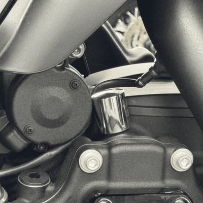 Kåpa strömbrytare Namz slät Softail 07-24 polerad