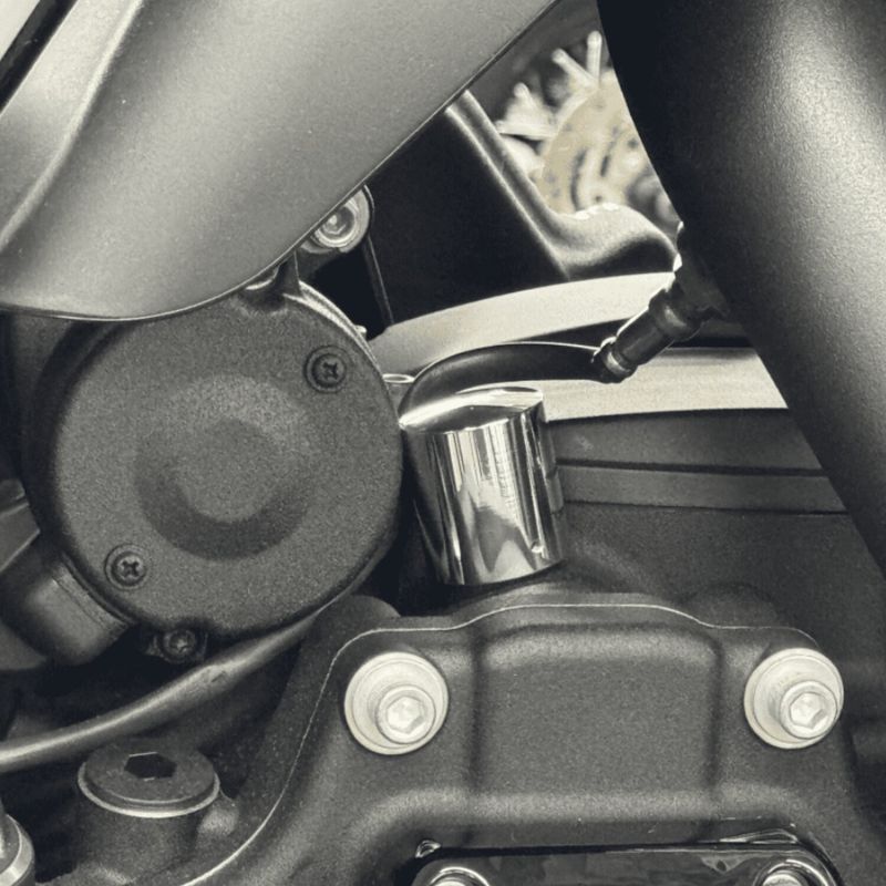 Kåpa strömbrytare Namz slät Softail 07-24 polerad