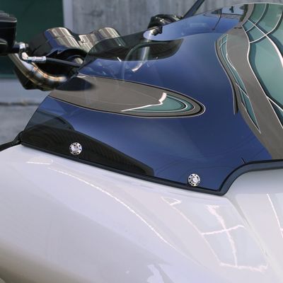 Bultsats vindruta Arlen Ness 12 titan polerad 300-809