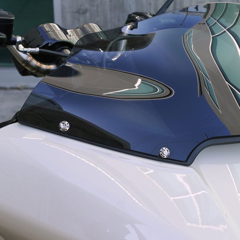 Bultsats vindruta Arlen Ness 12 titan polerad 300-809