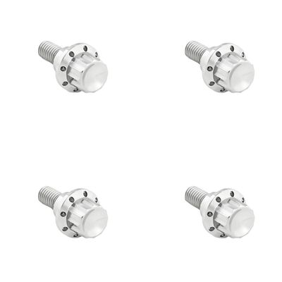 Bultsats vindruta Arlen Ness 12 titan polerad 300-809
