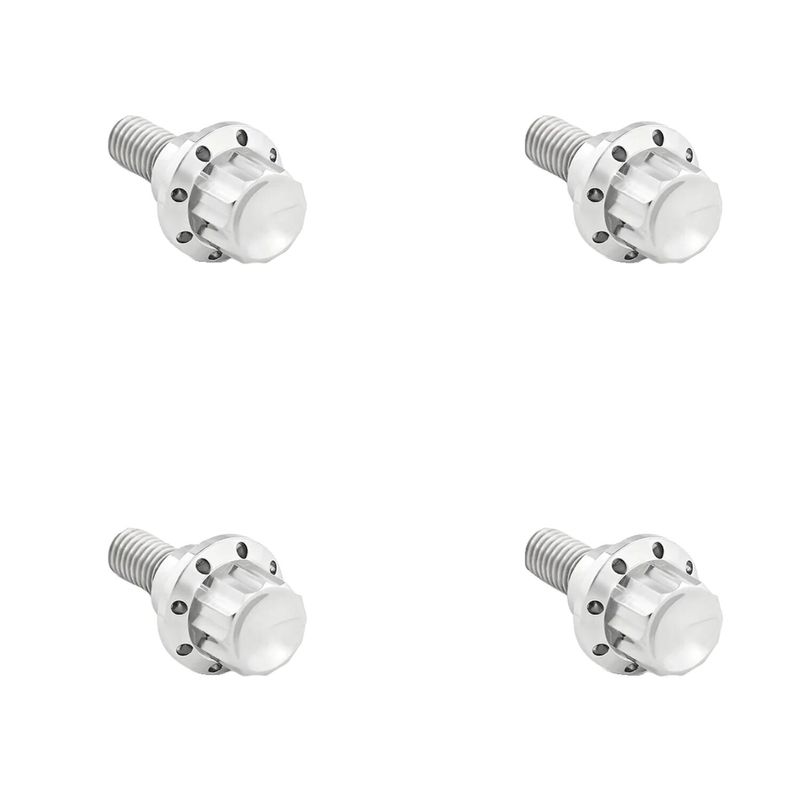 Bultsats vindruta Arlen Ness 12 titan polerad 300-809