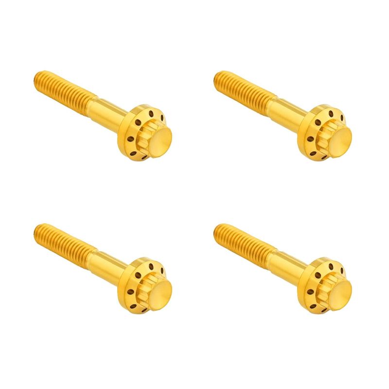 Bultsats skärm fram Arlen Ness 12 titan/guld