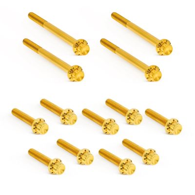 Bult primärkåpa Arlen Ness 12pt FLT/Touring 17-25 titan/guld