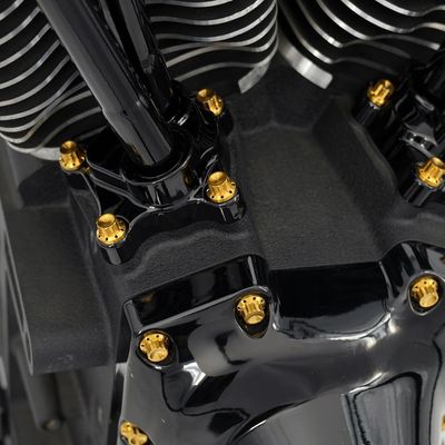 Bultsats Arlen Ness 12 Block Twin Cam 99-17 titan/guld