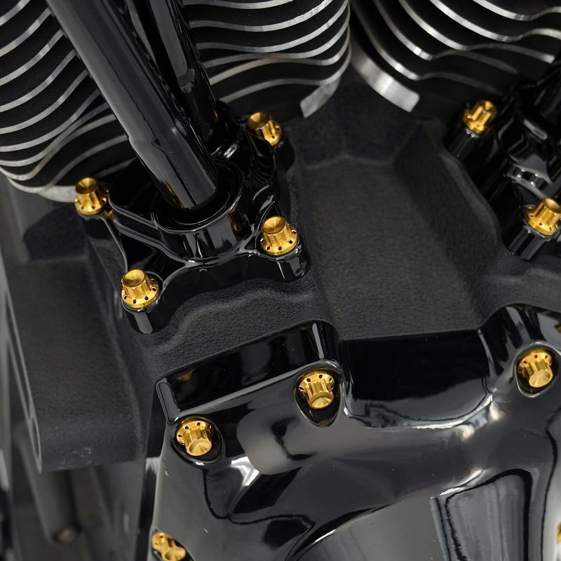 Bultsats Arlen Ness 12 Block Twin Cam 99-17 titan/guld