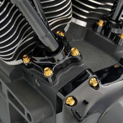 Bultsats Arlen Ness 12 Block Twin Cam 99-17 titan/guld