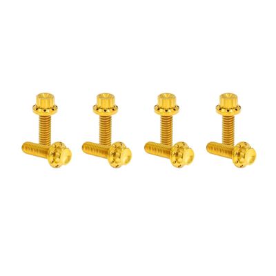 Bultsats Arlen Ness 12 Block Twin Cam 99-17 titan/guld