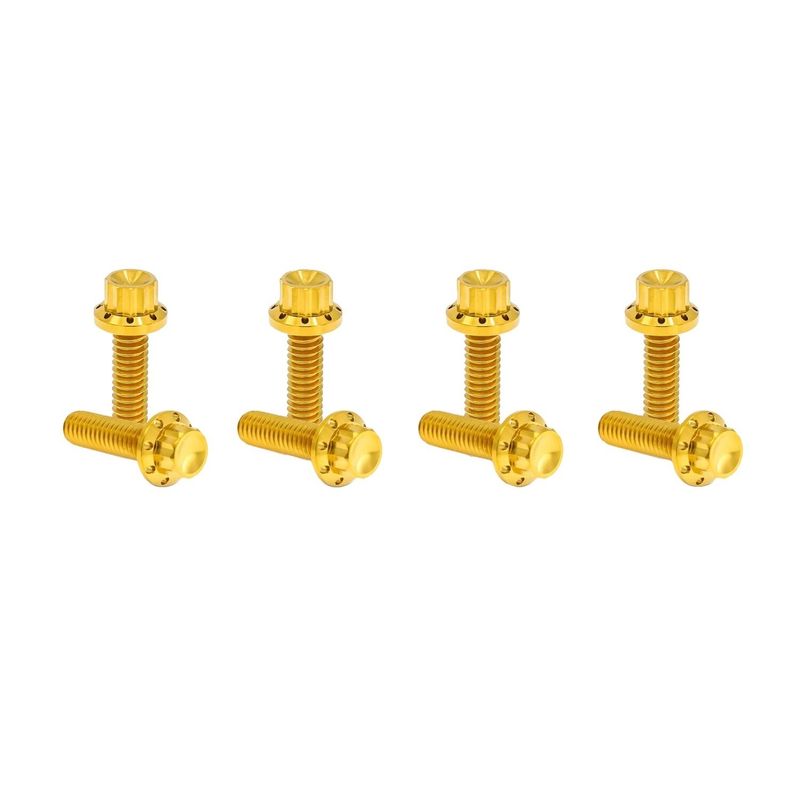 Bultsats Arlen Ness 12 Block Twin Cam 99-17 titan/guld