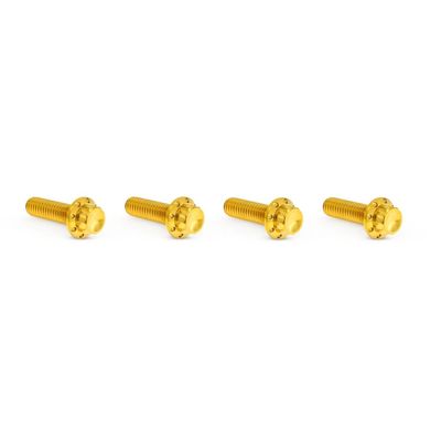 Bultar lock Arlen Ness 12 titan/guld