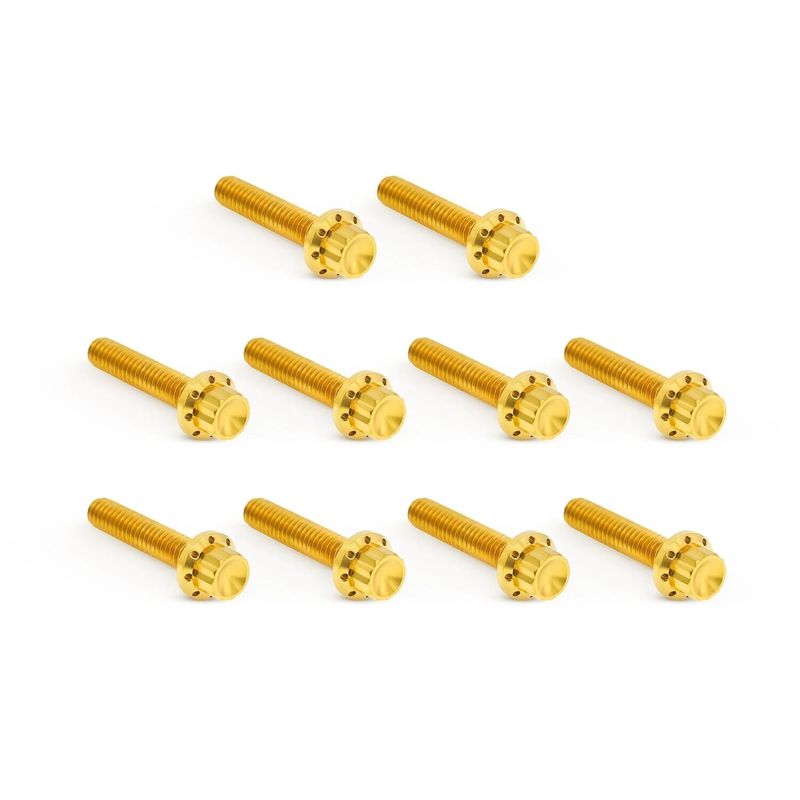Bultsats kåpa Arlen Ness 12 Twin Cam 99-17 titan/guld