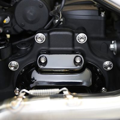 Monteringssats Arlen Ness 12 Softail except 09-17 CVO titan polerad