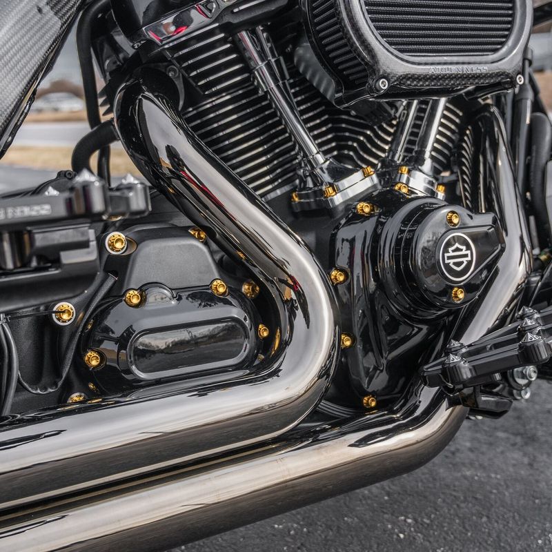 Monteringssats Arlen Ness 12 Softail except 09-17 CVO titan/guld