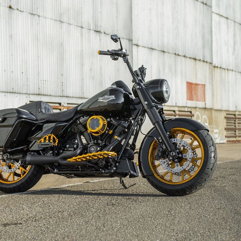Luftfilter Arlen Ness 600-240 Method guld Softail 25-26