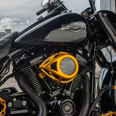 Luftfilter Arlen Ness 600-245 Tear klar guld Softail 25-26