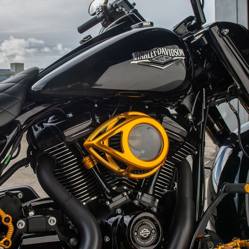 Luftfilter Arlen Ness 600-245 Tear klar guld Softail 25-26