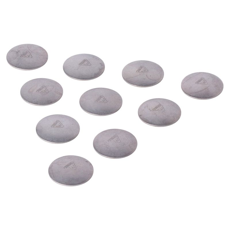Plugg MCS Expansion L79-86 4-speed Big Twin (10-pack)