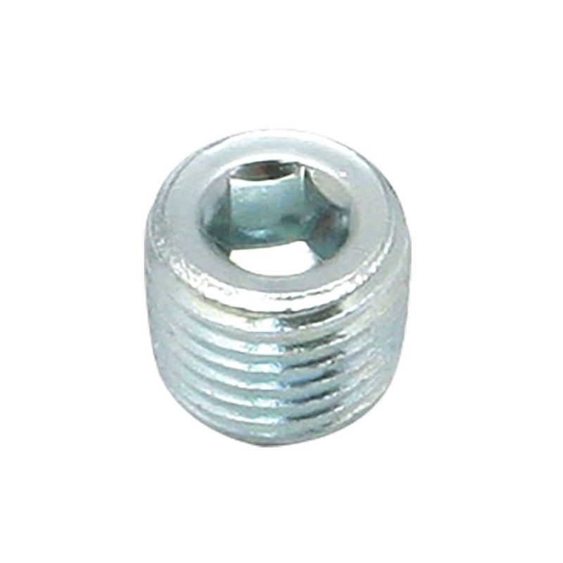 Gängplugg insex vevhus/växellåda S&S Twin Cam 99-17