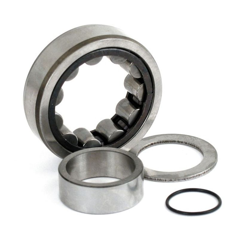Lager bak MCS yttre Twin Cam 99-06