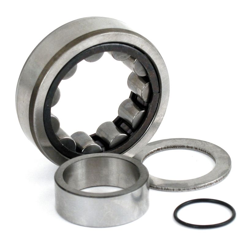 Lager bak MCS yttre Twin Cam 99-06