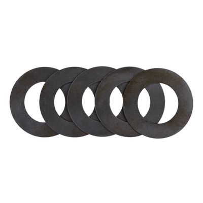 Bricka MCS .022" 5-speed Big Twin 80-00 (5-pack)