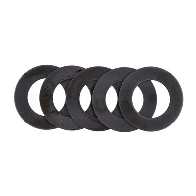 Bricka MCS .031" 5-speed Big Twin 80-00 (5-pack)