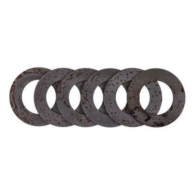 Bricka MCS .039" 5-speed Big Twin 80-00 (5-pack)