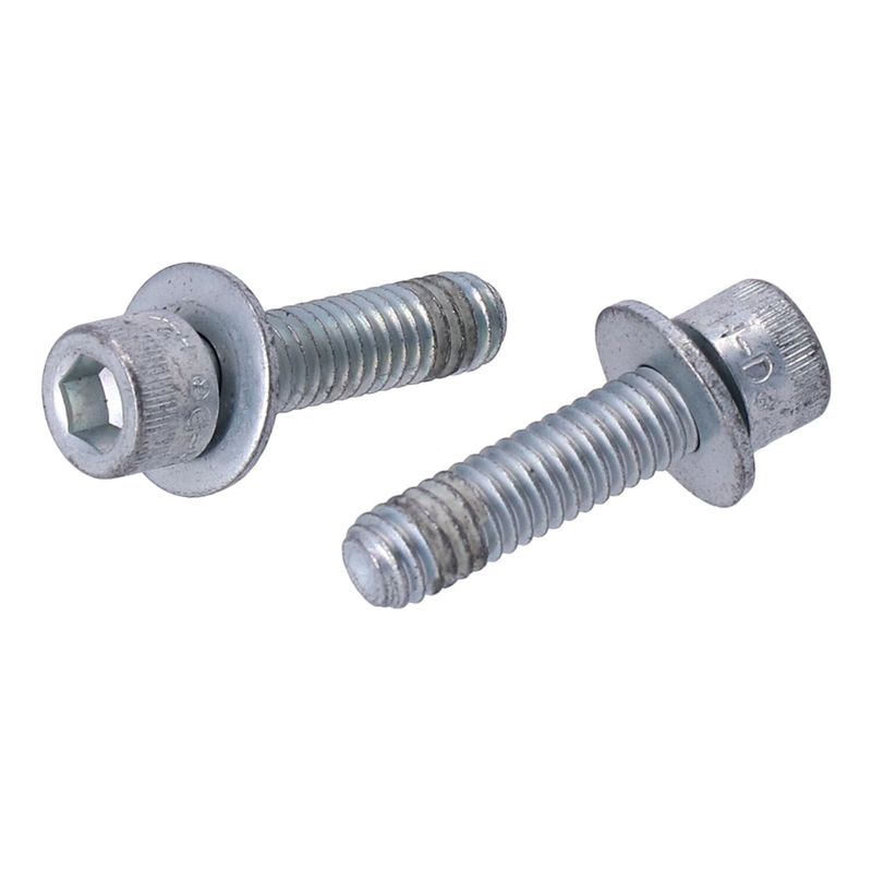Skruv lagerhus växellåda MCS Softail 07-26 (2-pack)