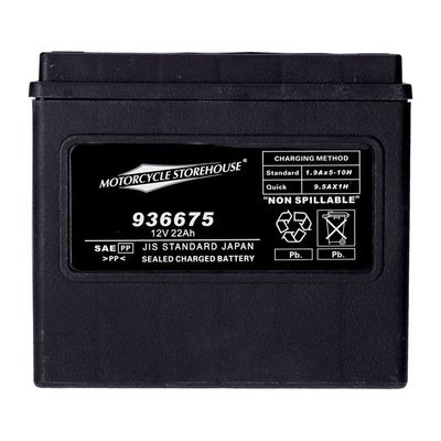 Batteri MCS AGM 325cca 12v 22ah FXE 73-86
