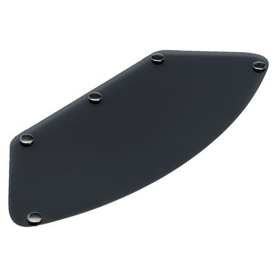 Visir Biltwell Gringo rökfärgad/svart
