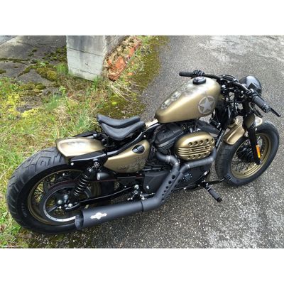 Solosadel Cult-Werk Old School XL Sportster 04-22