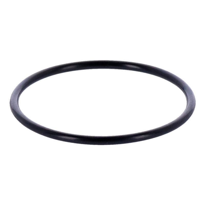 O-ring S&S 55mm