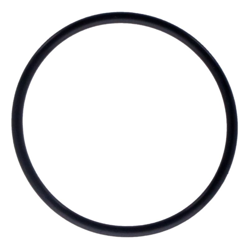 O-ring S&S 55mm