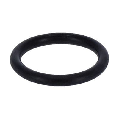 O-ring stötstång S&S