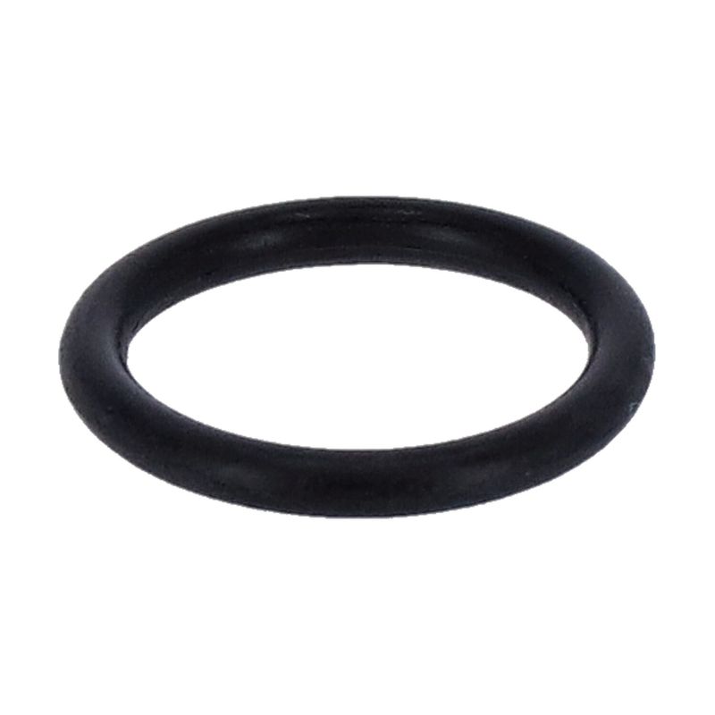O-ring stötstång S&S