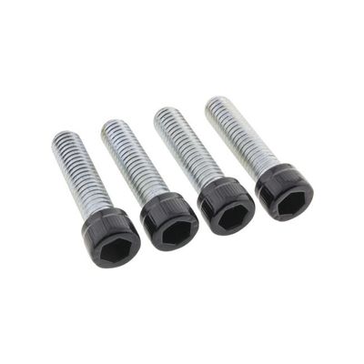 Skruvsats fotpinnar förare Screws4Bikes